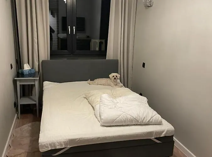 アパート Przy Bloniach *